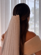Raphaella veil