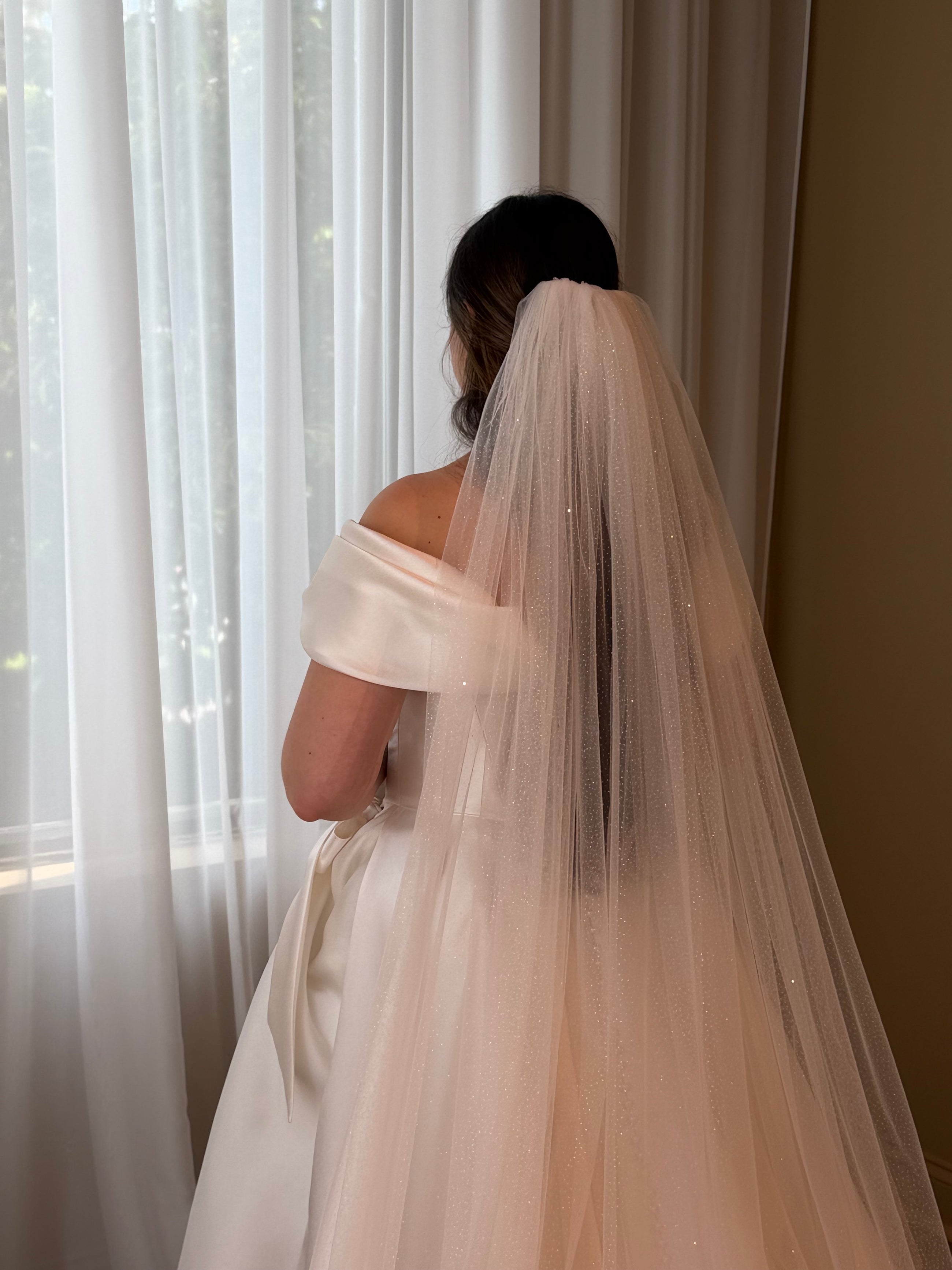 Veil Debri