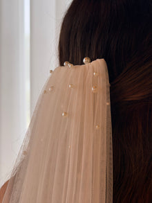 Raphaella veil
