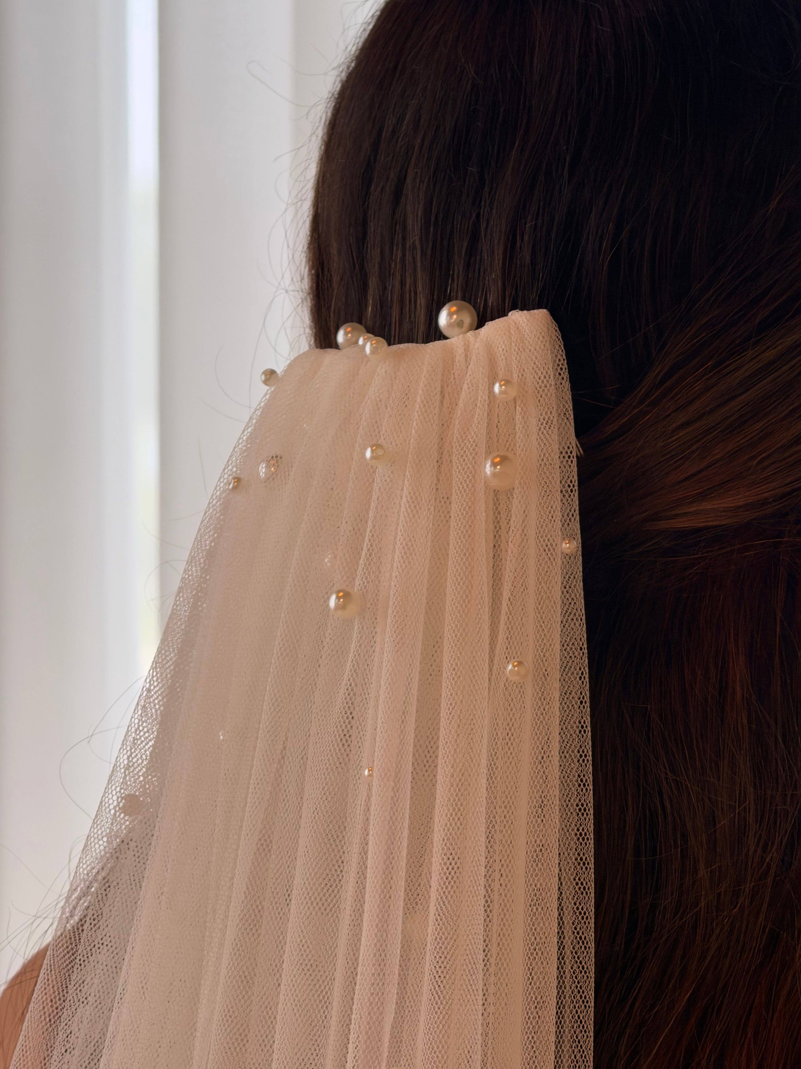 Raphaella veil