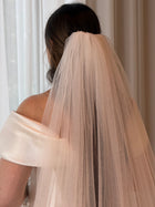 Veil Debri