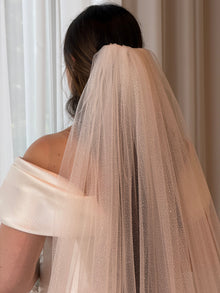 Veil Debri